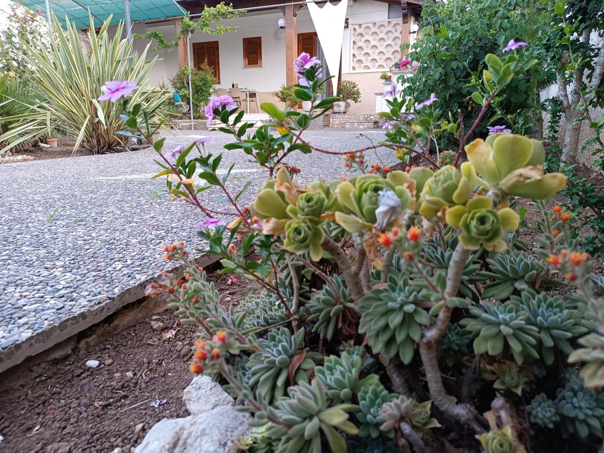 Il Giardino Di Sofia Charm And Comfort Apartment 토레 델 로소 외부 사진